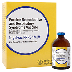 Odoo - Sample 1 for three columns