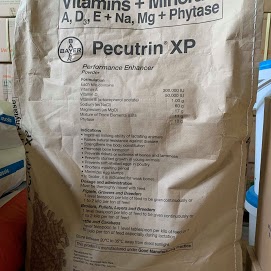 Odoo - Sample 3 for three columns