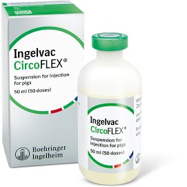 Odoo - Sample 3 for three columns