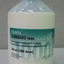 Odoo - Sample 3 for three columns