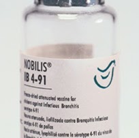 Odoo - Sample 3 for three columns